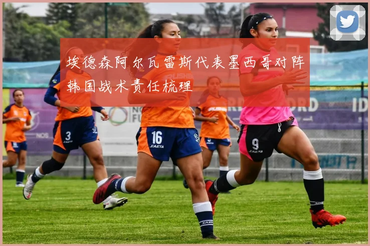 埃德森阿尔瓦雷斯代表墨西哥对阵韩国战术责任梳理