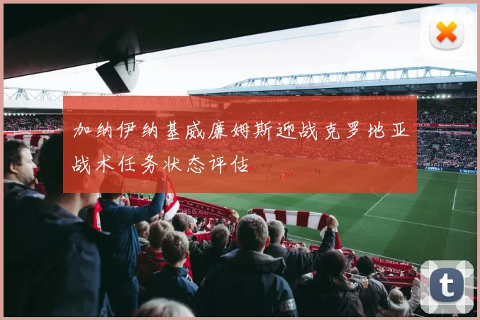 加纳伊纳基威廉姆斯迎战克罗地亚战术任务状态评估
