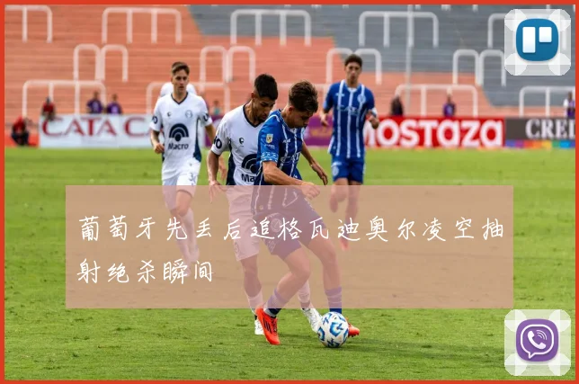 葡萄牙先丢后追格瓦迪奥尔凌空抽射绝杀瞬间