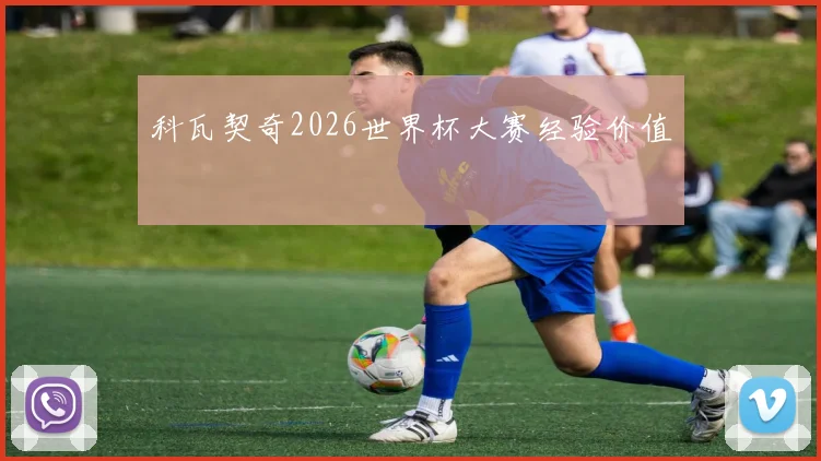 科瓦契奇2026世界杯大赛经验价值